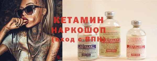 стаф Ельня