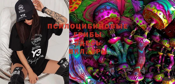 прущие крисы Елизово