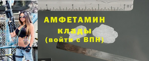 стаф Ельня