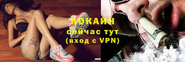 стаф Ельня