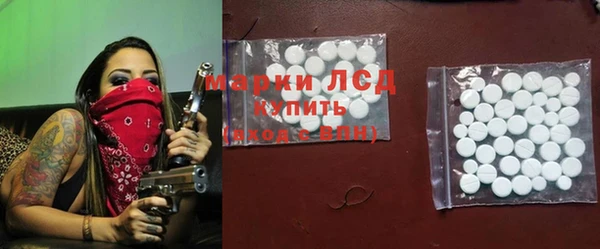 стаф Ельня