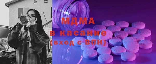 стаф Ельня