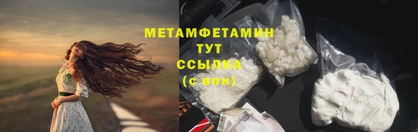 стаф Ельня