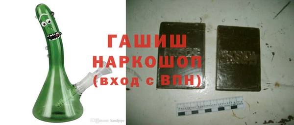 стаф Ельня
