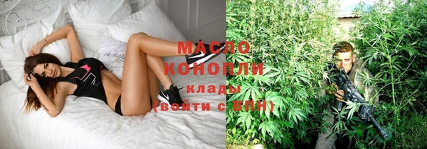 стаф Ельня