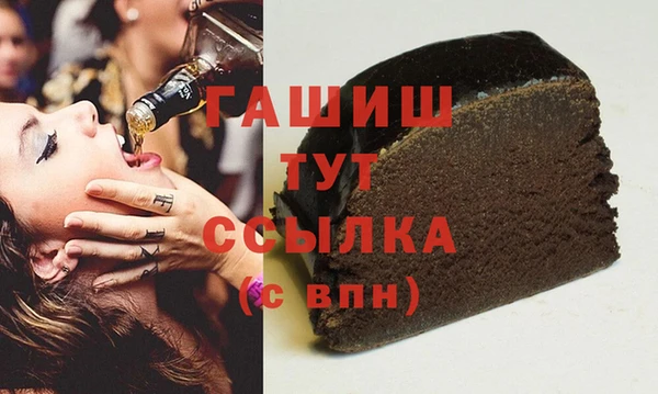 стаф Ельня