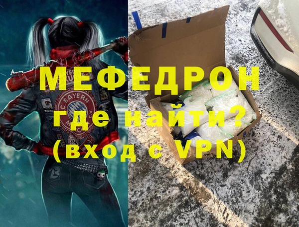 стаф Ельня