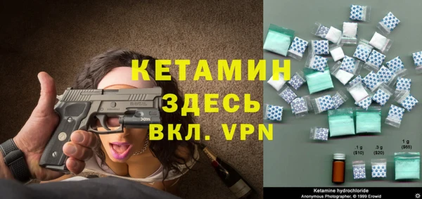 стаф Ельня
