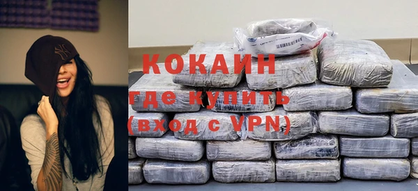 стаф Ельня