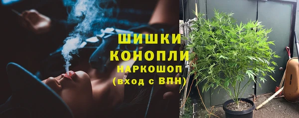 стаф Ельня