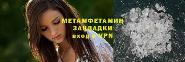 стаф Ельня