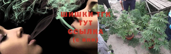прущие крисы Елизово