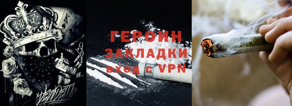 стаф Ельня
